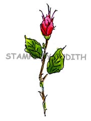 H-288 Rose Bud